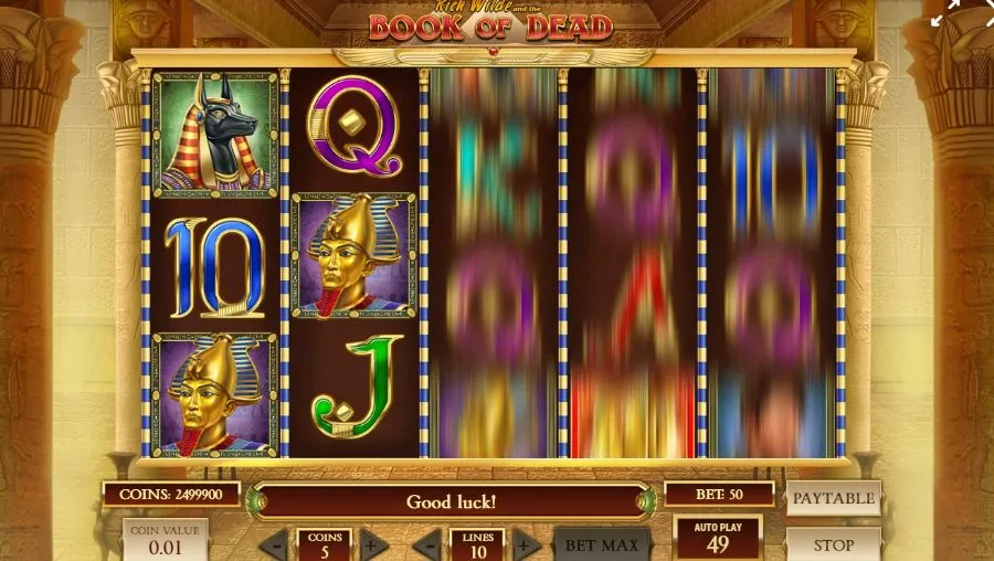 Book of dead Features und Highlights